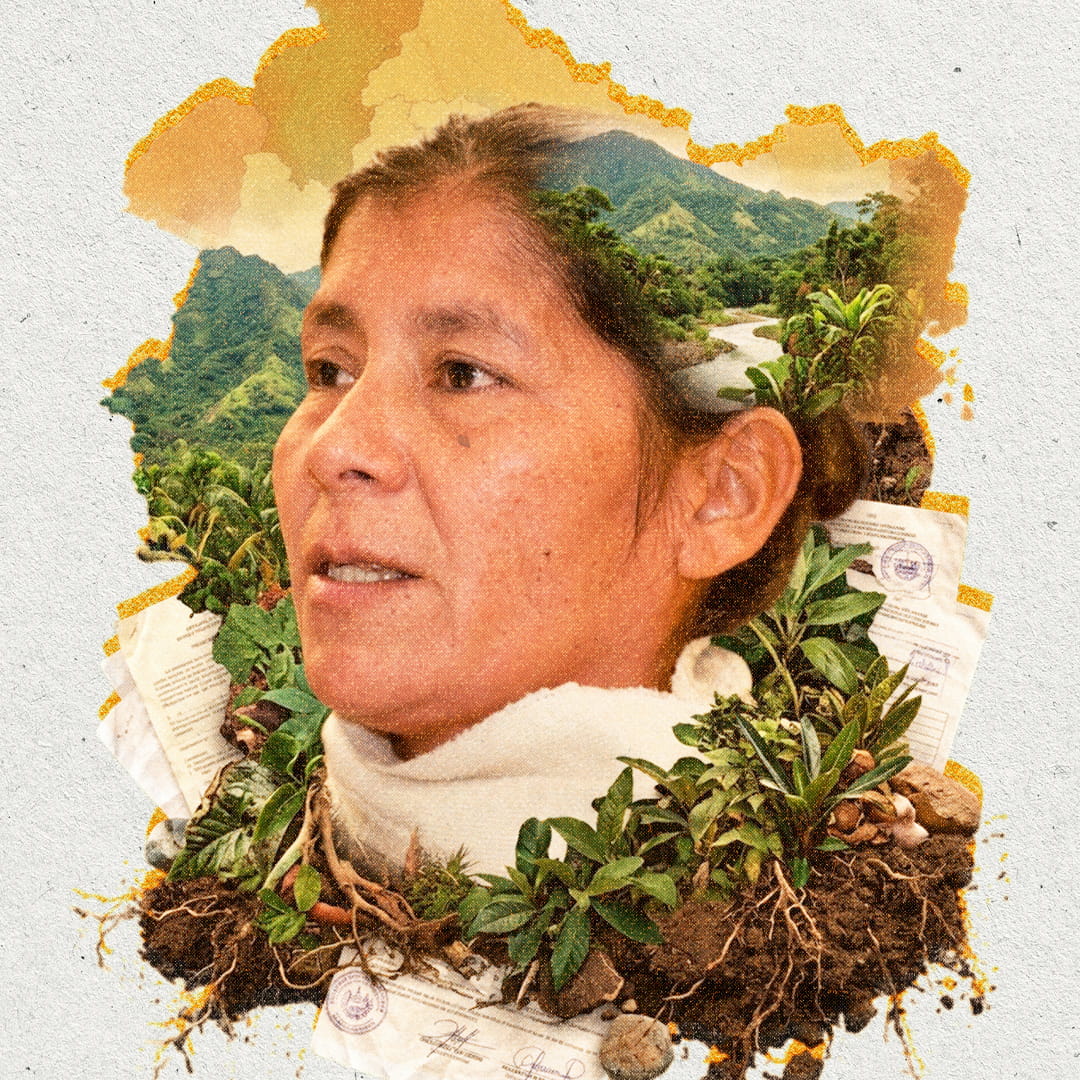 Vidalina Morales / ADES Santa Marta